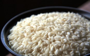 Arroz 